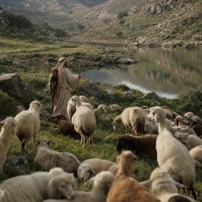A shepherd stands with rod and staff, guiding sheep from green pasture beside calm water toward a dim valley, showing steady care in Psalm 23.