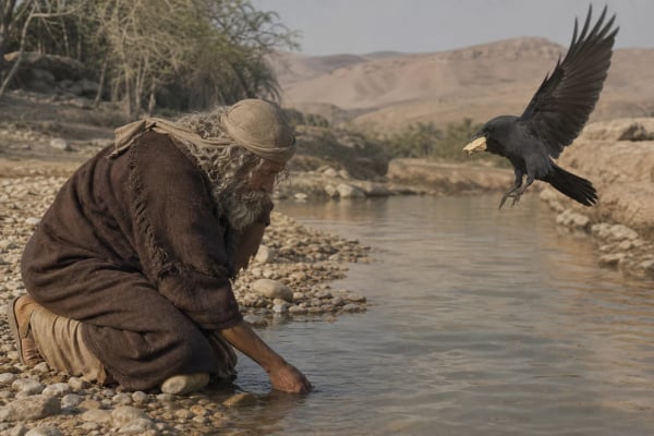 Daily devotional: Ravens at the Brook: Learning Trust