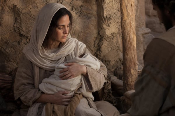 Daily devotional: Mary Kept the Night in Her Heart